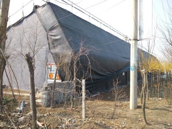 山東日光溫室